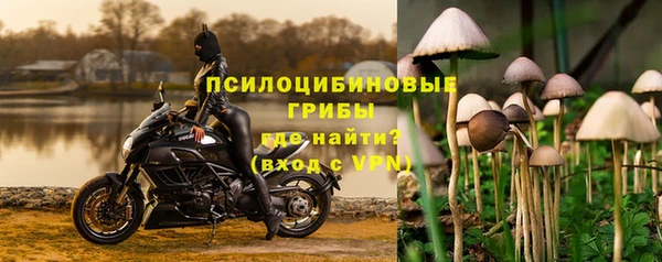 МДПВ Аркадак