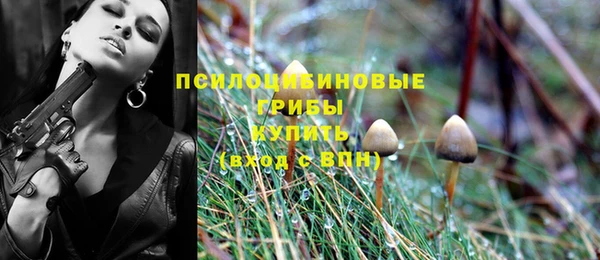 PSILOCYBIN Армянск