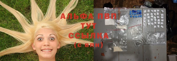 PSILOCYBIN Армянск