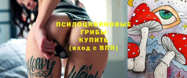 PSILOCYBIN Армянск