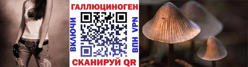 Псилоцибиновые грибы Psilocybine cubensis  дарнет шоп  ссылка на мегу ССЫЛКА  Чулым 